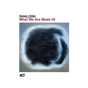 Shalosh - What We Are Made Of