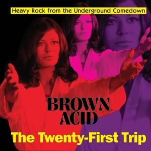 Multi-Artistes - Brown Acid The Twenty First Trip