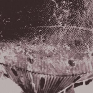 Mark Ijzerman - Flounder Maps