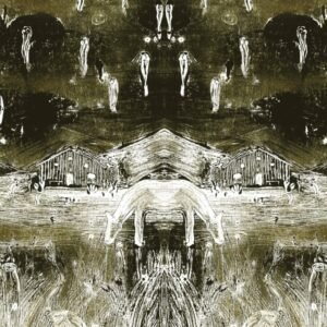 Nick Wheeldon - Tadpoles