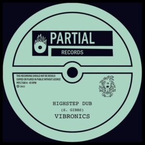 Vibronics - Hightstep Dub