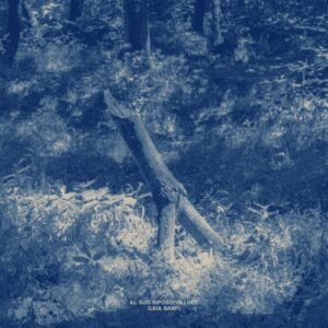 Gaia Banfi - Al Suo Riposo - In Luce