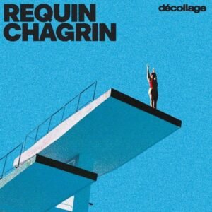 Requin Chagrin - Décollage