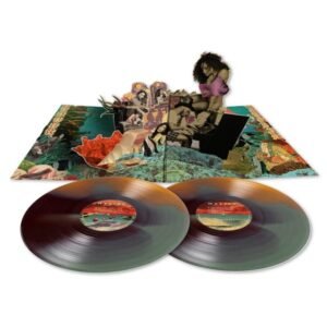 Anderson .Paak - Malibu