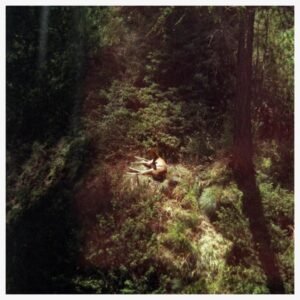 Will Samson - Sings Again