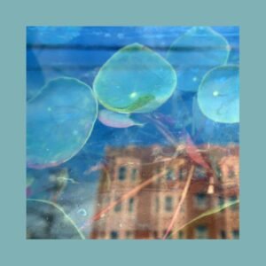 The Reds Pinks And Purples - Acknowledge Kindness