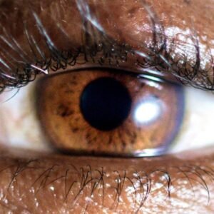 Evadney - It's Dreaming