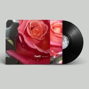 Ms Ray - Melt